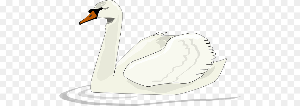 Swan Animal, Bird, Anseriformes, Waterfowl Free Transparent Png