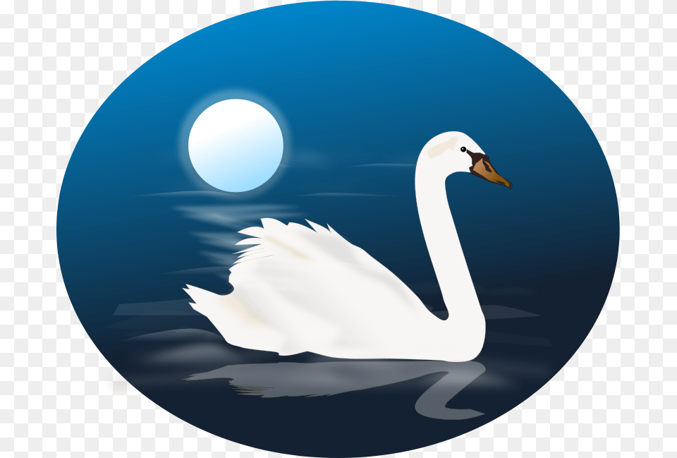 Swan, Animal, Bird, Astronomy, Moon Png Image