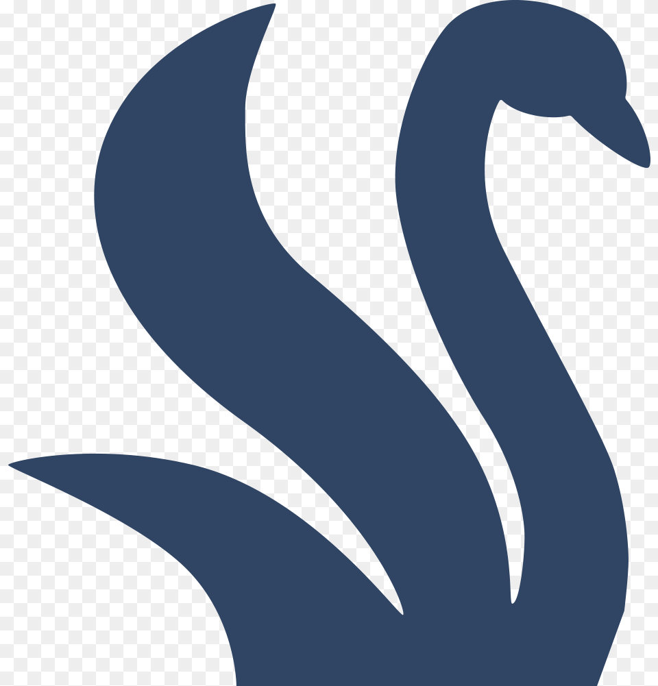 Swan Png