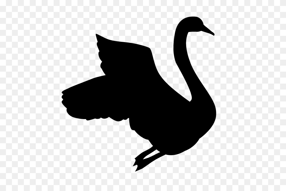 Swan Animal Silhouette Free Illustrations, Gray Png