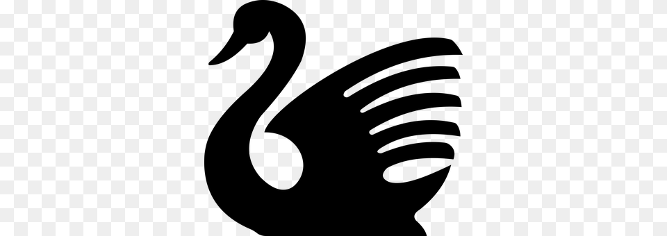 Swan Bird Animal Aquatic Water Swim Fly Fl Swan Silhouette, Gray Free Transparent Png