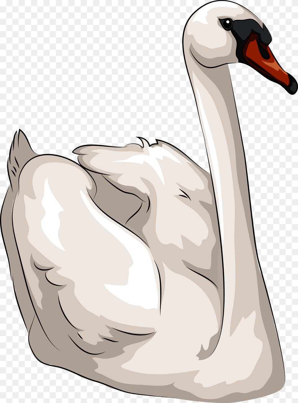 Swan Clipart, Animal, Bird Png