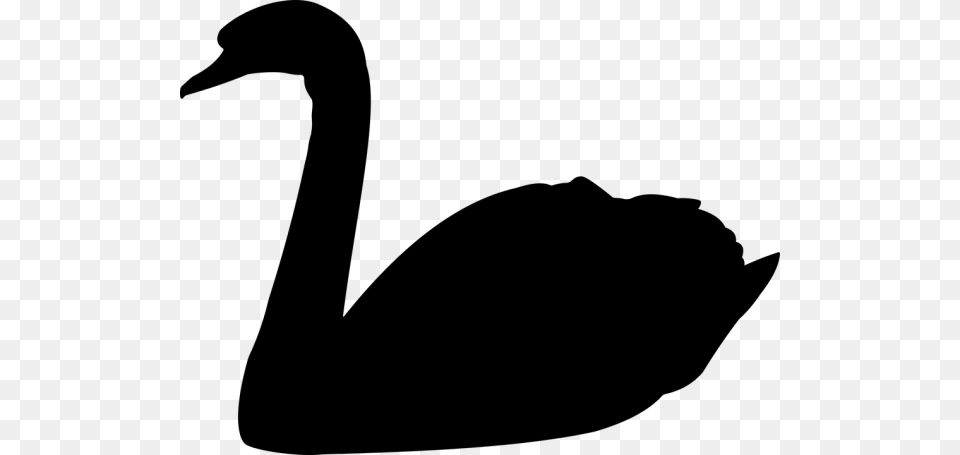 Swan Clipart Black And White Nice Clip Art, Gray Free Transparent Png