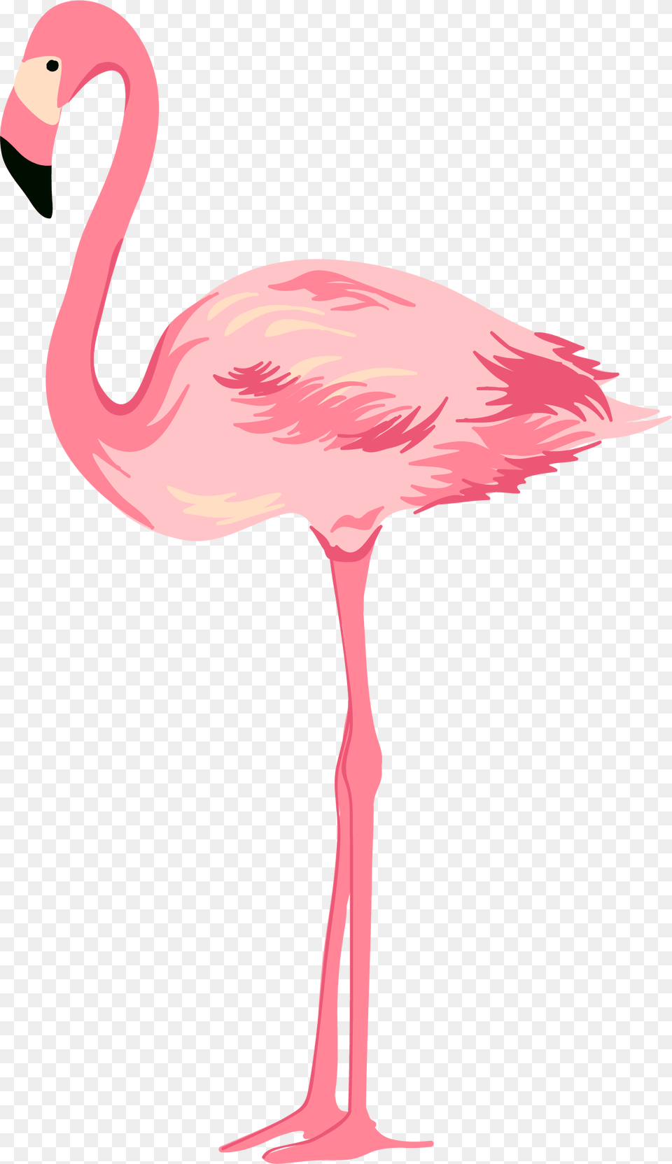 Swan Clipart Pink, Animal, Bird, Flamingo, Beak Free Png Download