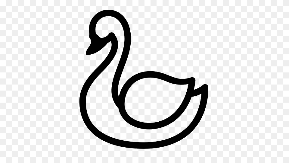Swan Clipart Transparent, Gray Free Png