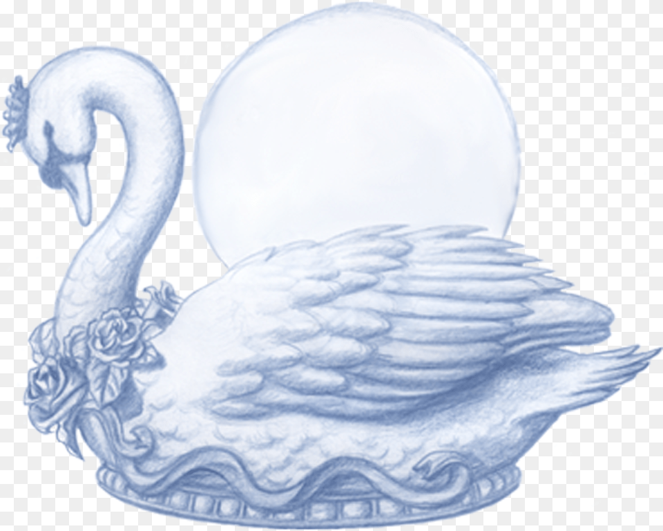 Swan Drawing, Animal, Bird, Baby, Person Png Image