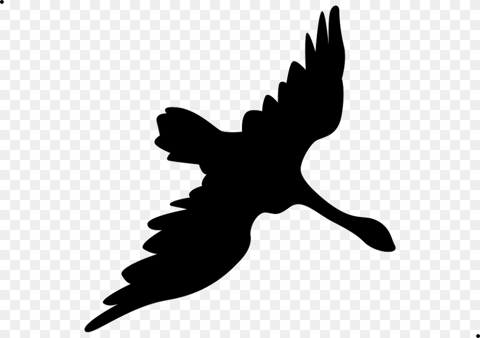 Swan Fill Accipitridae, Silhouette, Animal, Bird, Flying Png