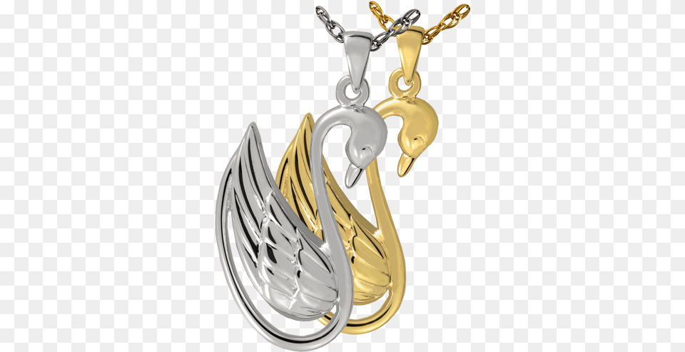 Swan Illustration, Accessories, Pendant, Electronics, Hardware Free Png