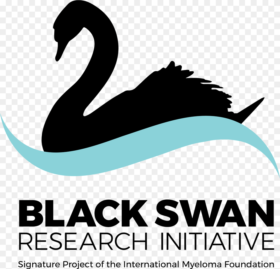 Swan Images Library Bigstock, Outdoors Png