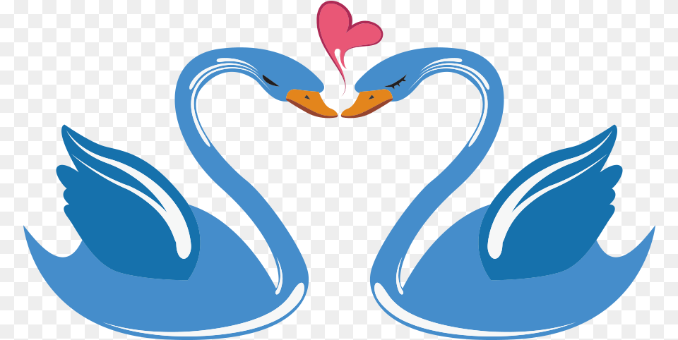 Swan Love Cartoon Swan Heart 1000x1000 Clipart Swans Cartoon, Animal, Bird, Fish, Sea Life Free Png