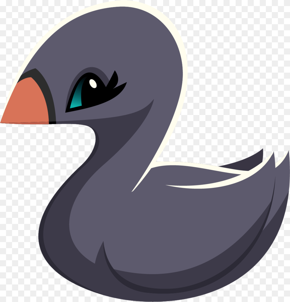 Swan Pet, Animal, Bird, Waterfowl, Astronomy Free Png Download