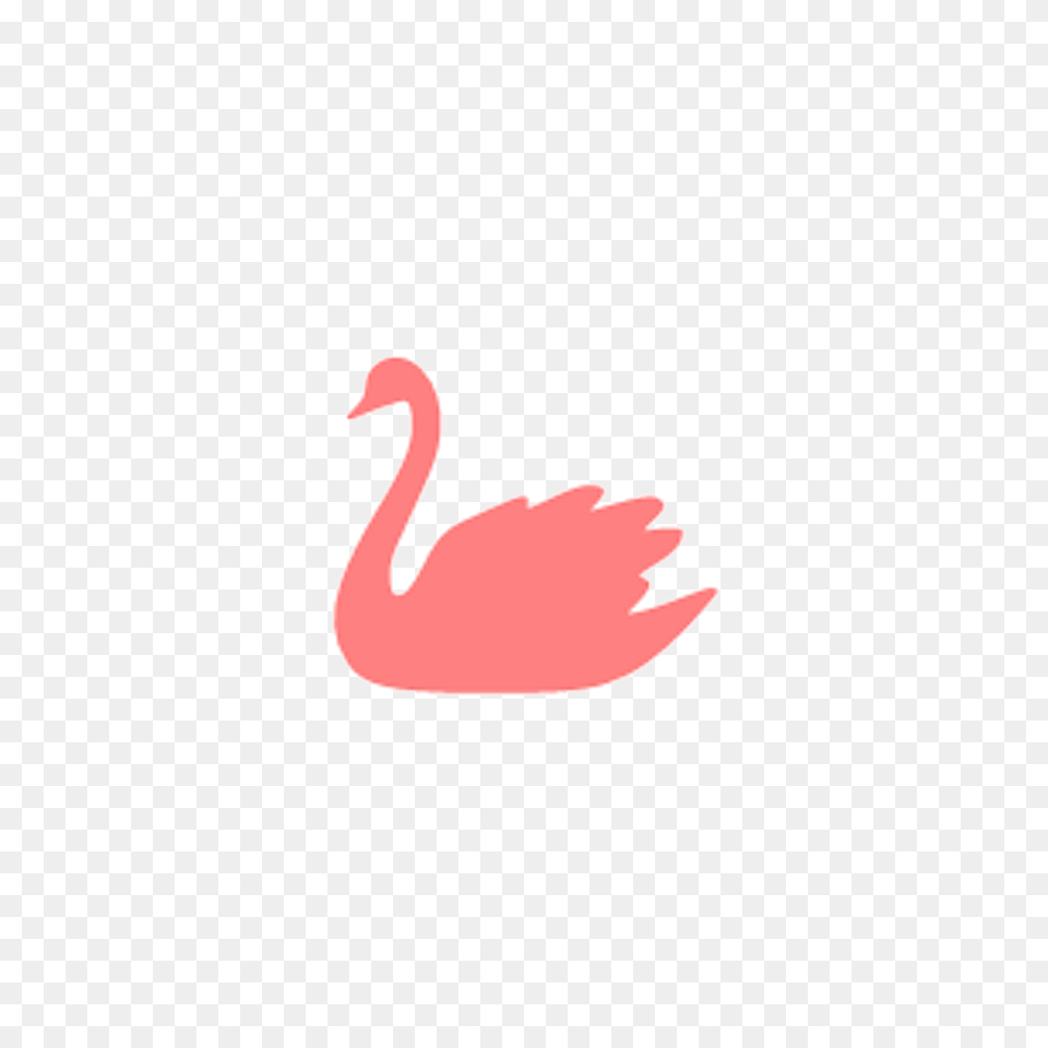 Swan Picture Arts, Animal, Bird, Flamingo Png