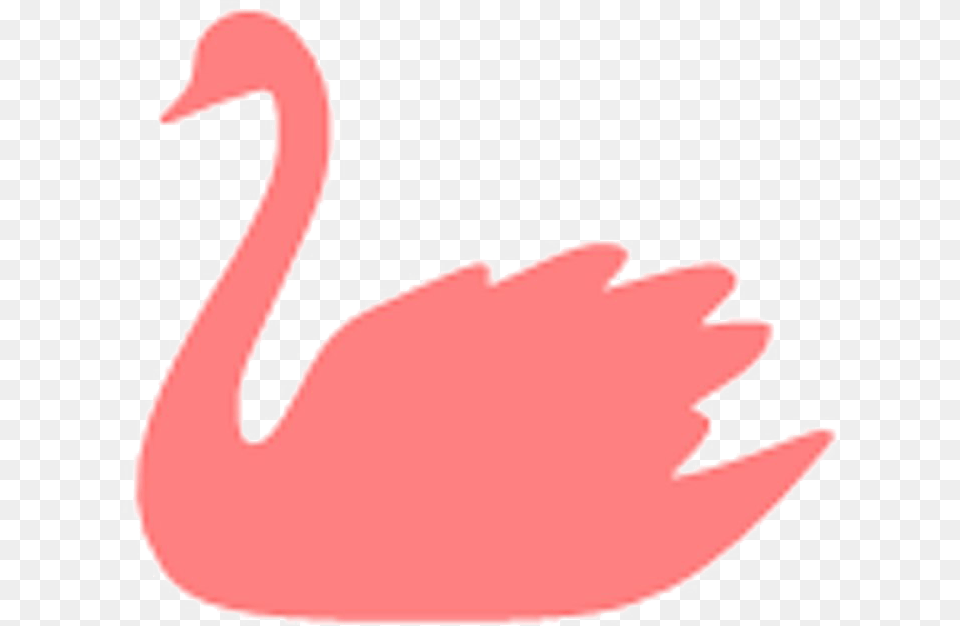 Swan Picture Illustration, Animal, Bird, Flamingo, Fish Png Image