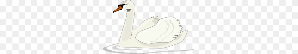 Swan Swimming Clip Art, Animal, Bird, Anseriformes, Waterfowl Free Png