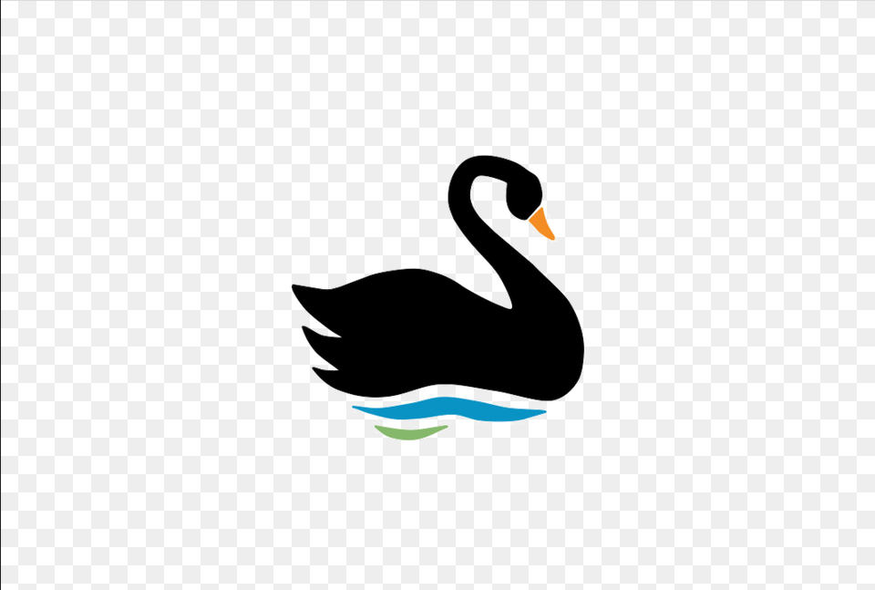 Swan Transparent Black Swan, Animal, Bird, Waterfowl Png Image