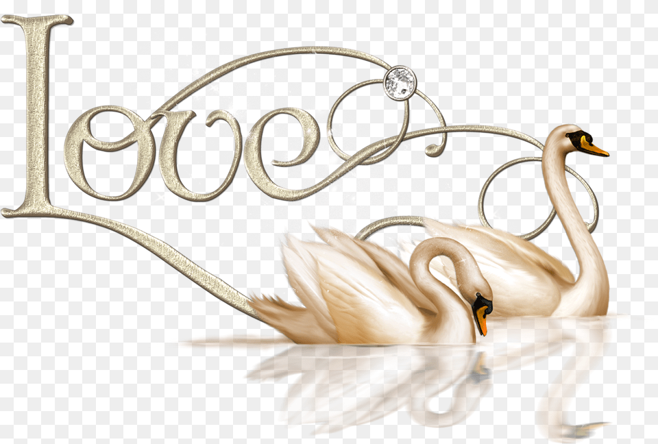 Swan Transparent Love Swan Love, Animal, Bird Png