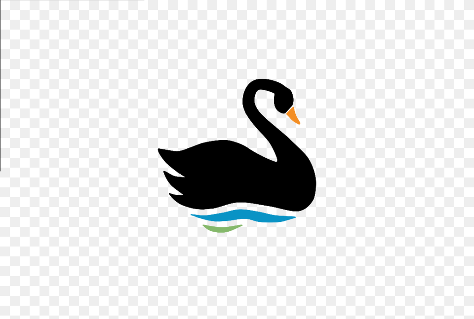Swan Transparent Professional Only, Animal, Bird, Waterfowl Free Png