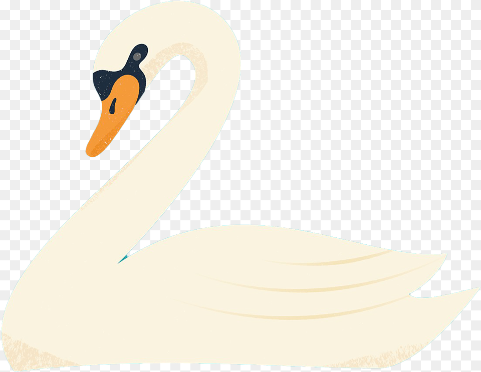 Swan Transparent Swan, Animal, Bird Free Png