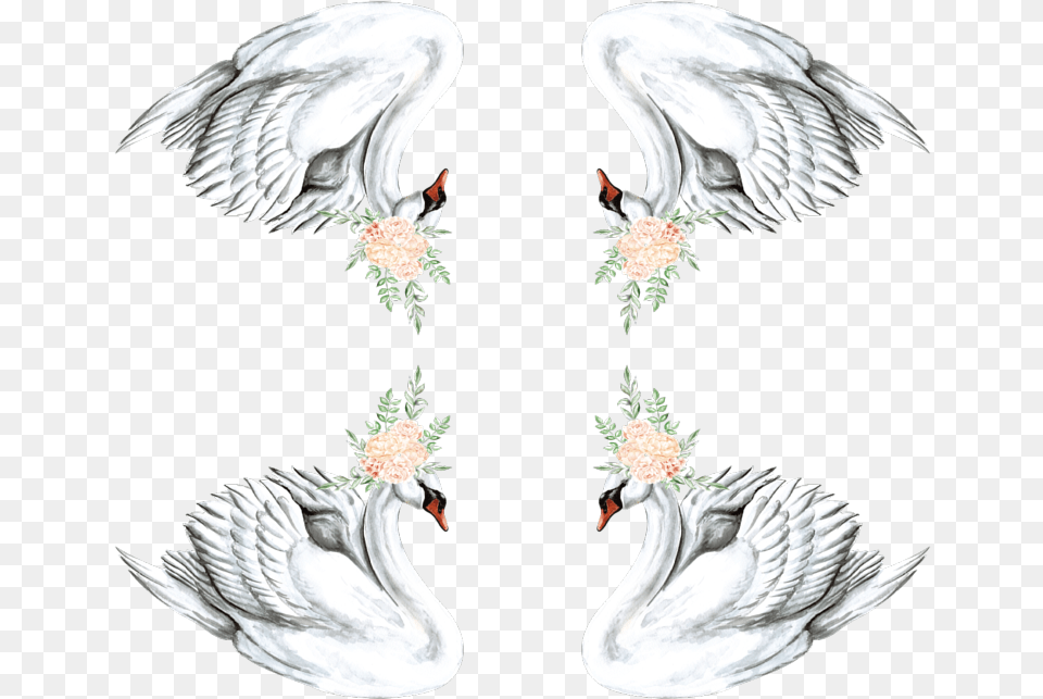 Swan With Peach Floral Crown Wallpaper Waterfowl, Animal, Bird Free Transparent Png