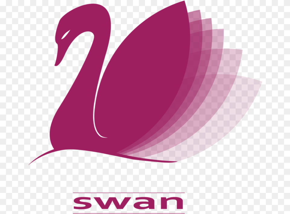 Swans Logo 3 Graphic Design, Animal, Bird, Flamingo, Swan Png Image