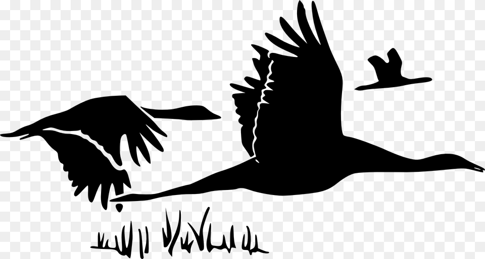 Swans Silhouette Black Flying Birds Three Want This Music And This Dawn, Gray Free Png