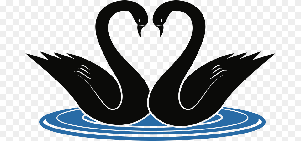 Swans Swans Clipart, Pottery, Water Png Image