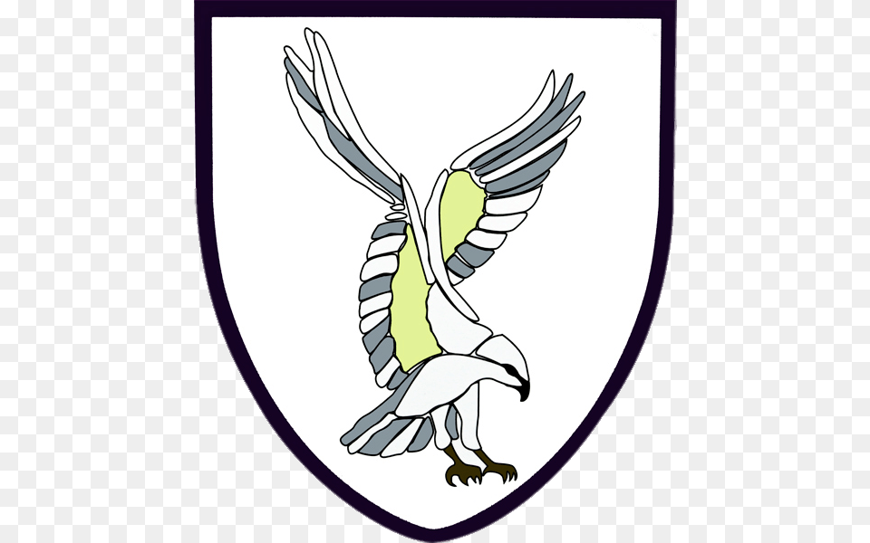 Swansea Rfc Rugby Logo, Animal, Bird, Flying, Baby Png Image