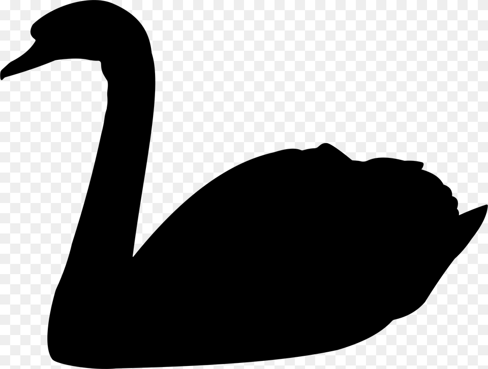 Swanwater Birdneck Swan Silhouette, Gray Png Image