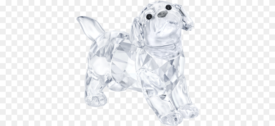 Swarovski Collections Labrador Puppy Standing Swarovski Labrador Free Png Download