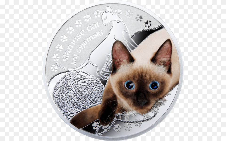Swarovski Siamese Cat, Animal, Mammal, Pet, Silver Png