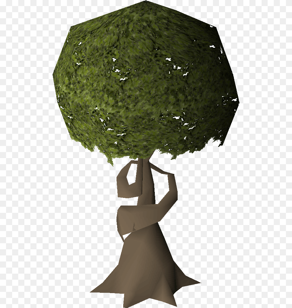 Swaying Tree Osrs Wiki Runescape, Clothing, Dress, Plant, Moss Free Png Download