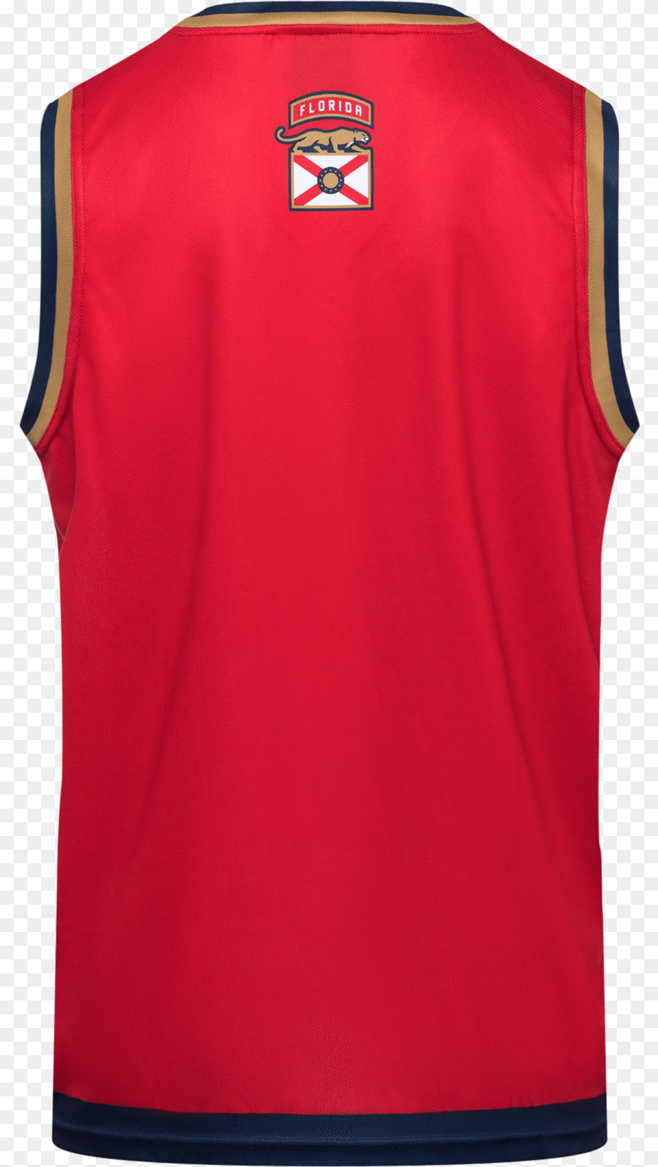 Sweater Vest, Clothing, Shirt, Jersey Free Png
