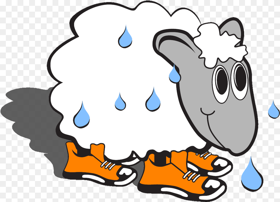 Sweaty Sheep Cartoon, Baby, Person, Animal, Beak Png