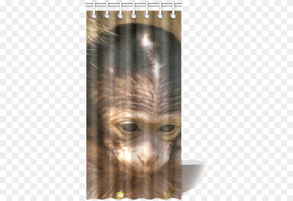Sweet Baby Monkey Shower Curtain Orangutan, Animal, Mammal, Person, Wildlife Free Transparent Png