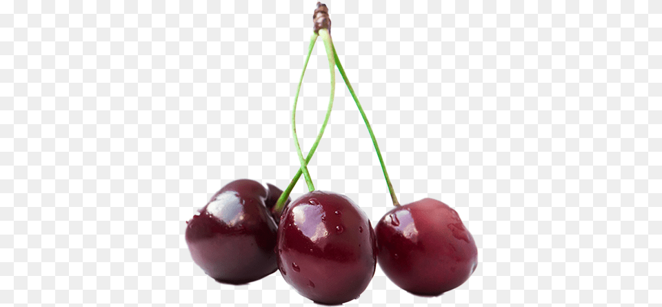 Sweet Cherry Black Cherry, Food, Fruit, Plant, Produce Png Image