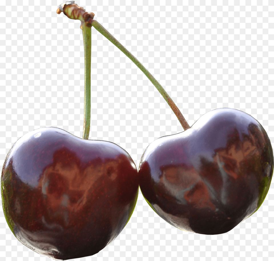 Sweet Cherry Images Cherry, Food, Fruit, Plant, Produce Free Png Download