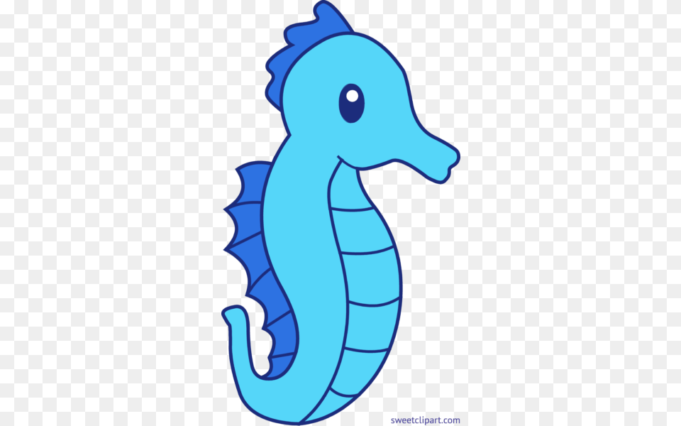 Sweet Clip Art, Animal, Sea Life, Mammal, Seahorse Png Image