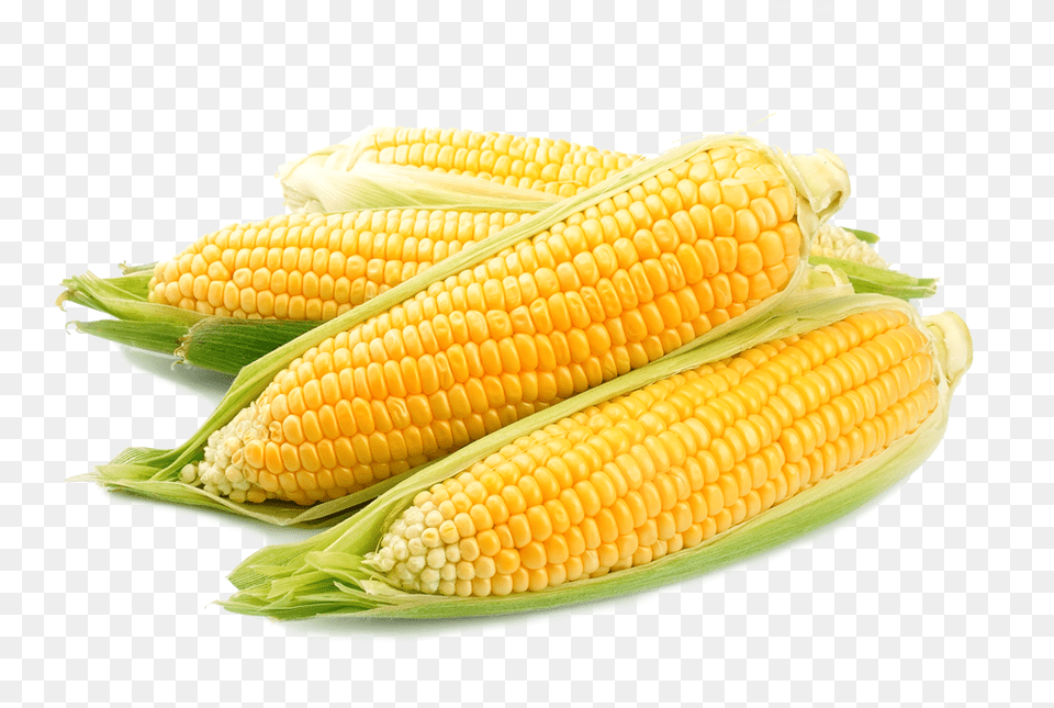 Sweet Corn, Food, Grain, Plant, Produce Free Png Download