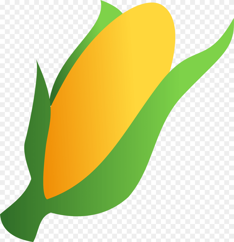 Sweet Corn Clipart, Sprout, Bud, Flower, Plant Png Image