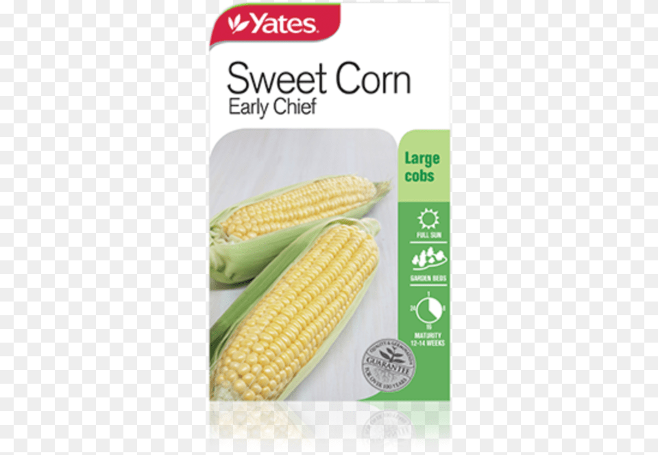 Sweet Corn Early Chief Yates Sweet Corn, Food, Grain, Plant, Produce Png