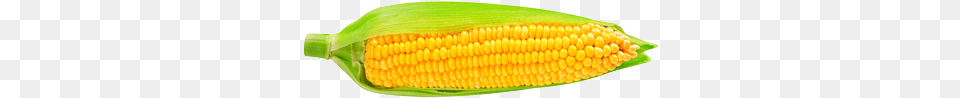 Sweet Corn Mas, Food, Grain, Plant, Produce Free Transparent Png