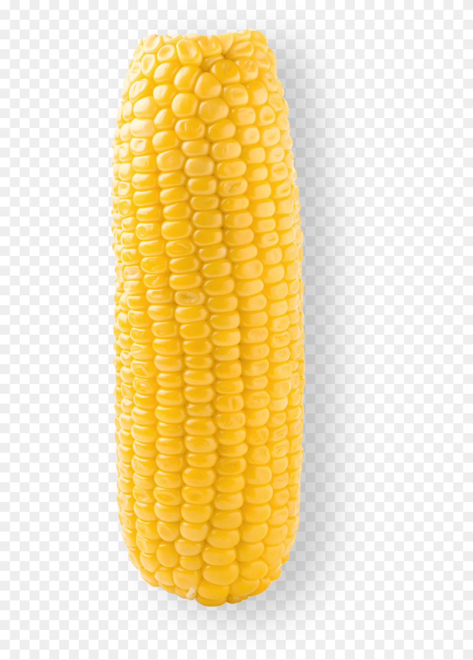 Sweet Corn Sweetcorn, Food, Grain, Plant, Produce Png Image