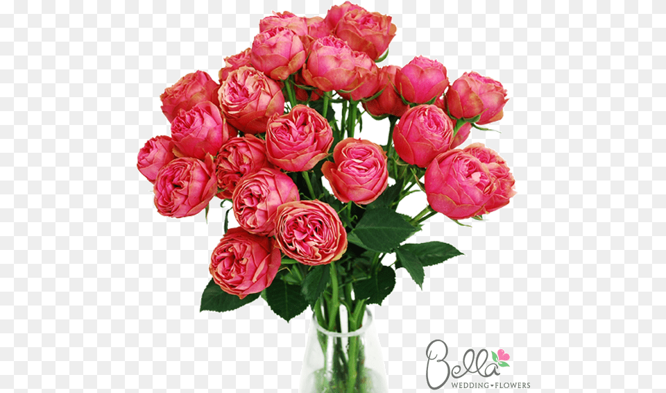 Sweet Flowers For Love, Flower, Flower Arrangement, Flower Bouquet, Plant Png