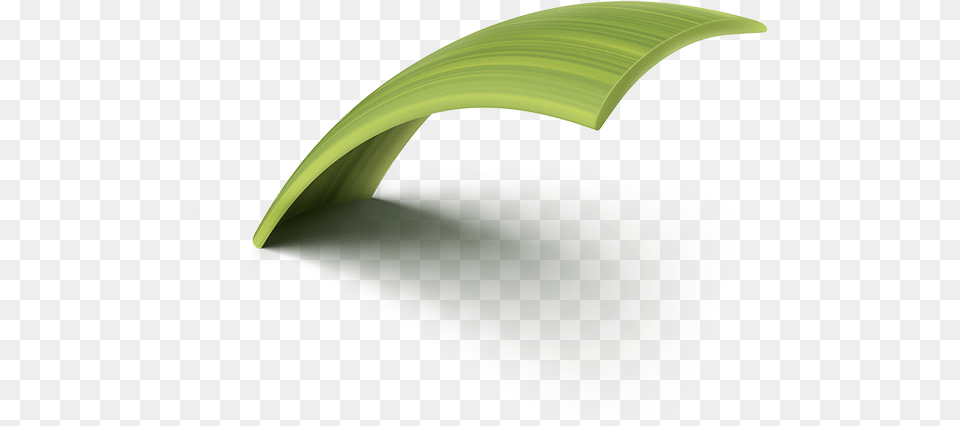 Sweet Grass, Leaf, Plant, Outdoors, Nature Free Transparent Png