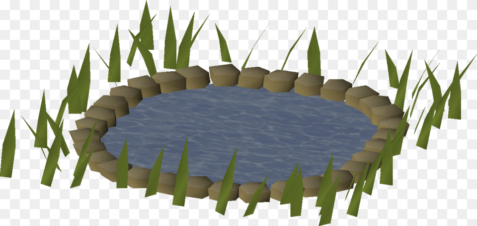 Sweet Grass, Nature, Outdoors, Pond, Water Free Png