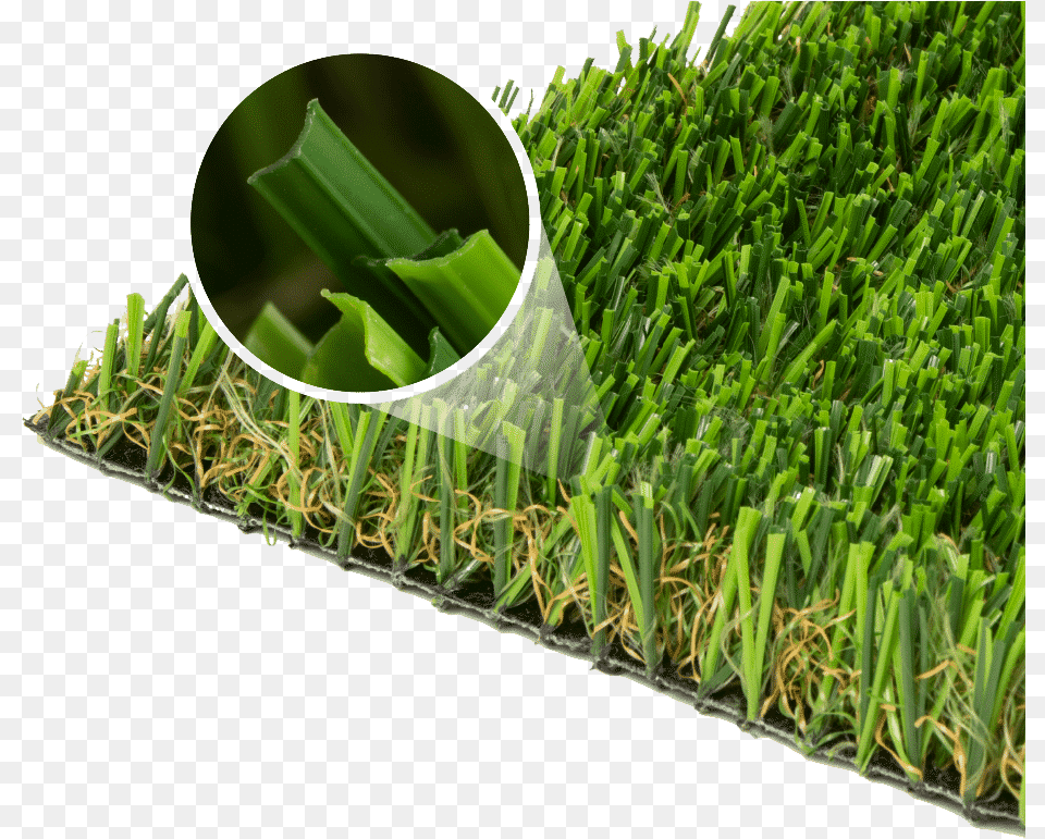 Sweet Grass, Lawn, Plant, Vegetation, Moss Free Transparent Png