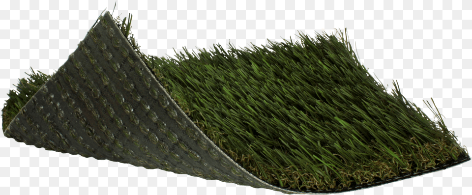 Sweet Grass, Potted Plant, Moss, Plant, Vegetation Free Png Download
