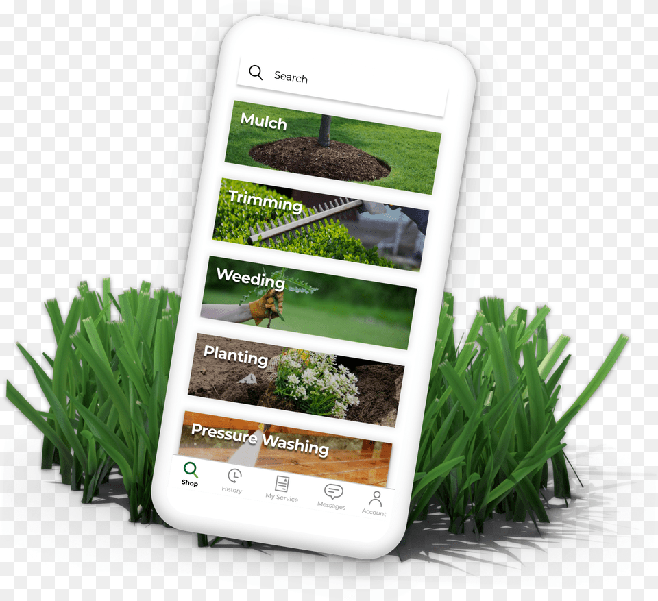 Sweet Grass Hd Sweet Grass, Electronics, Potted Plant, Plant, Phone Free Png Download