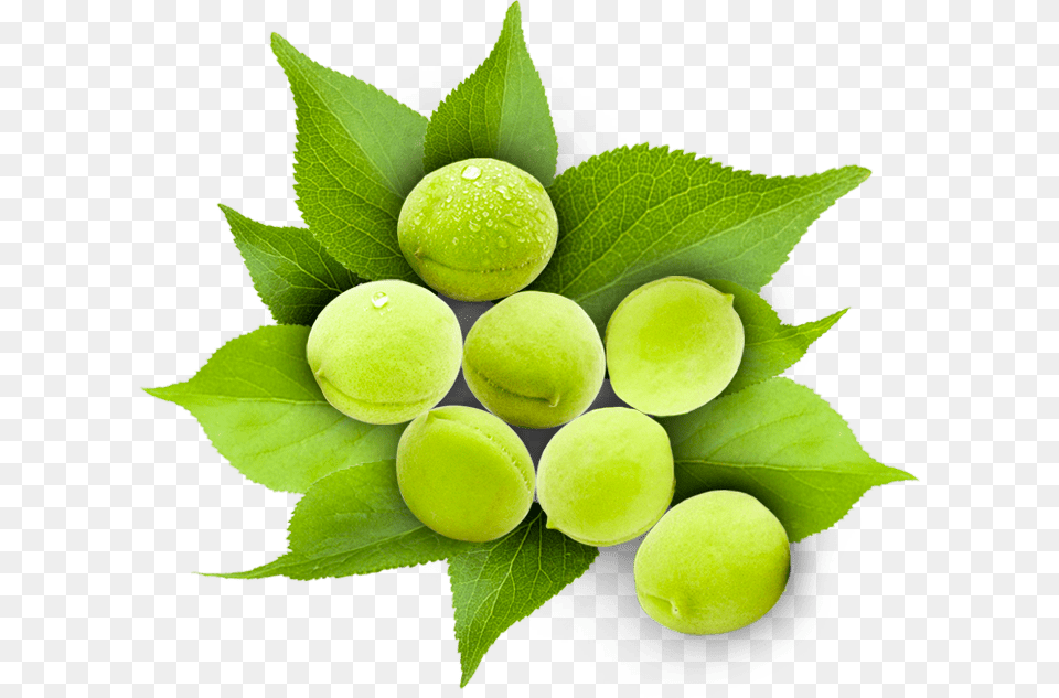 Sweet Lemon, Ball, Food, Fruit, Plant Png