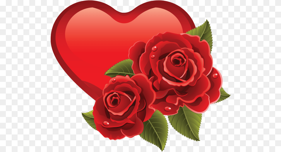 Sweet Memoriesred Roses Touch My Heartas Does Your Beautiful Rose Photo Flower, Plant Free Png Download